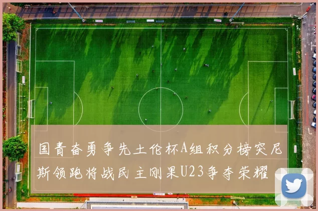 国青奋勇争先土伦杯A组积分榜突尼斯领跑将战民主刚果U23争夺荣耀